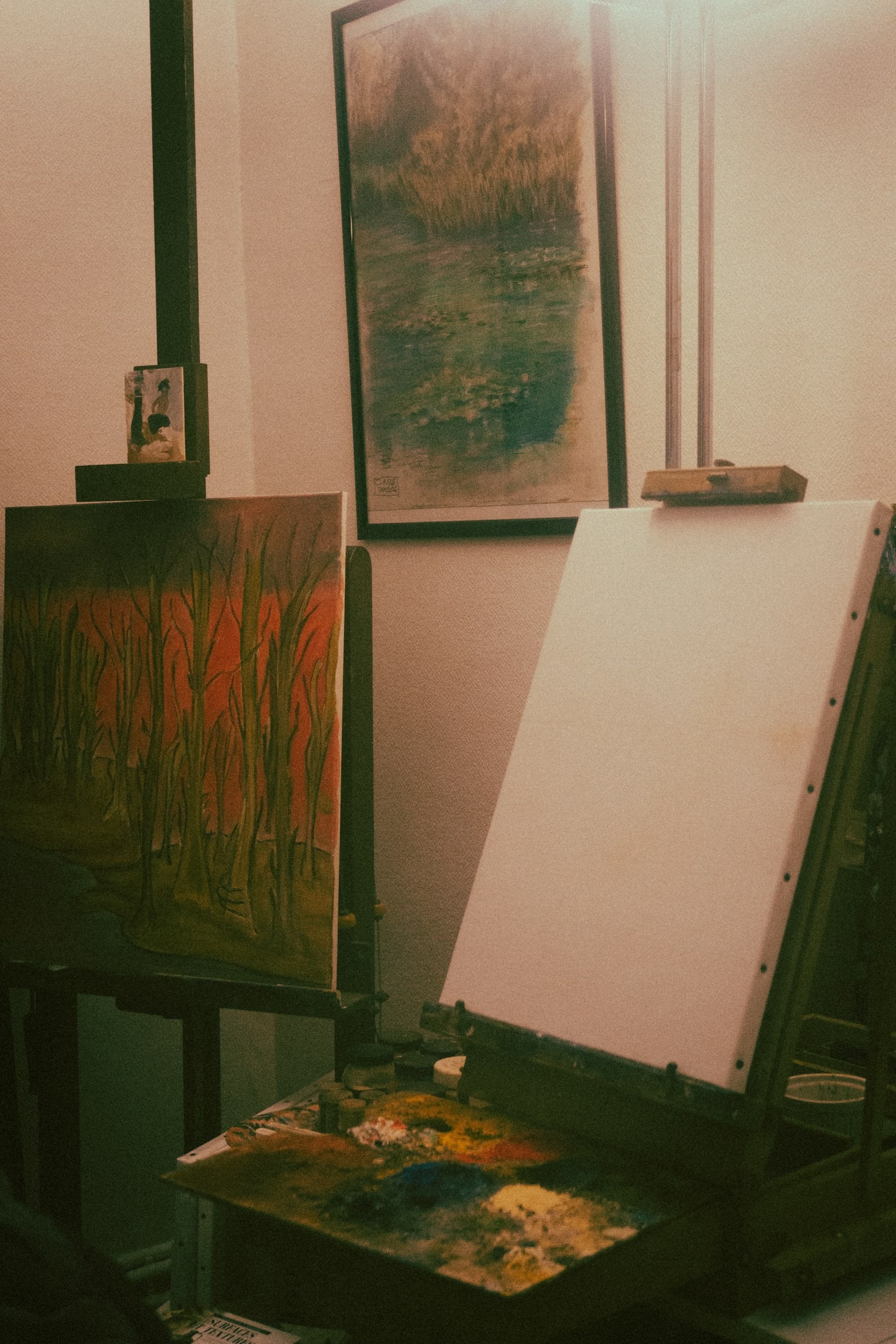 From Beginner to Pro: Your Painting Journey